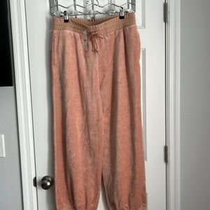 NWT J.Crew Velour Pants